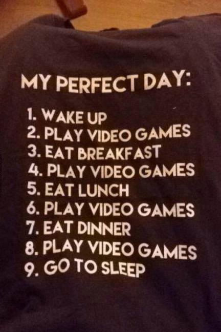 t shirt - My Perfect Day 1. Wake Up 2. Play Video Games 3. Eat Breakfast 4. Play Video Games 5. Eat Lunch 6. Play Video Games 7. Eat Dinner 8. Play Video Games 9. Go To Sleep