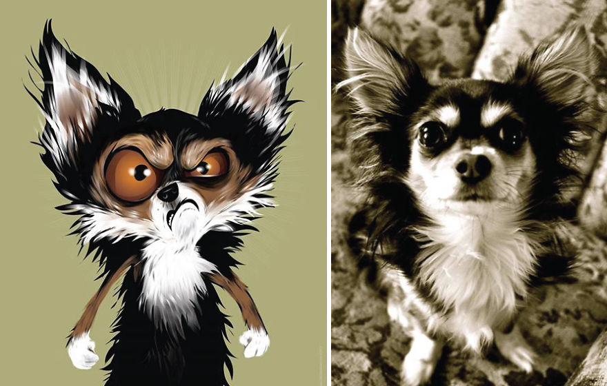 Artist Draws Illustrations Of Pets Based On Owners Description