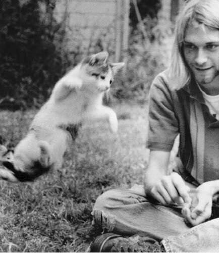 Kurt Cobain with a cat