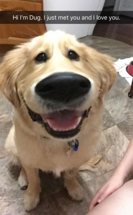dog snapchat - Hi I'm Dug. I just met you and I love you.