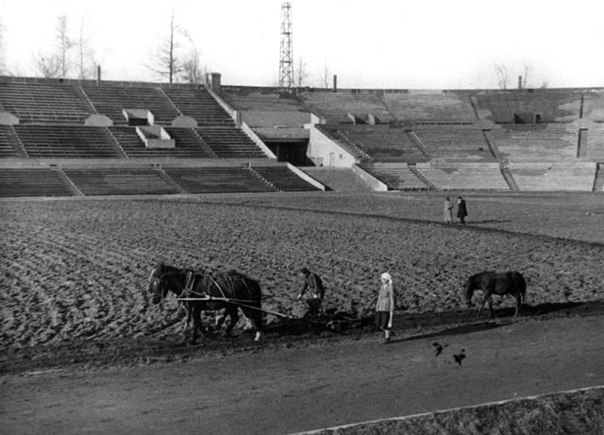 Preparations to the 2014 Winter Olympics, Moscow.