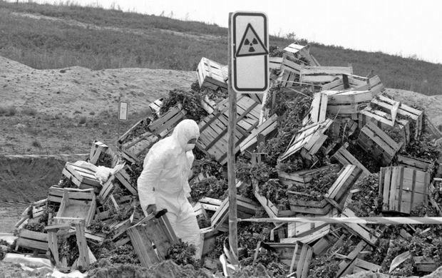 A janitor throwing out spinach after the kids massively petitioned against serving it in school cafeteria, Germany 1986.