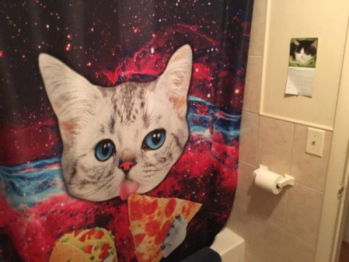 cat and pizza shower curtain