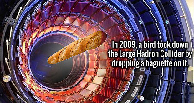 memes - large hadron collider painting - F Eille In 2009, a bird took down the Large Hadron Collider by dropping a baguette on it.
