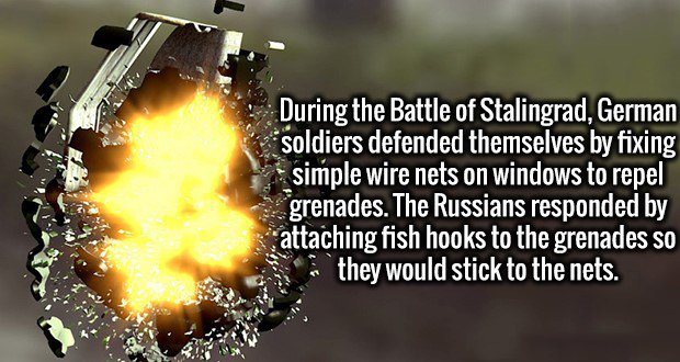 memes - facts about grenades - During the Battle of Stalingrad, German soldiers defended themselves by fixing simple wire nets on windows to repel grenades. The Russians responded by attaching fish hooks to the grenades so they would stick to the nets.