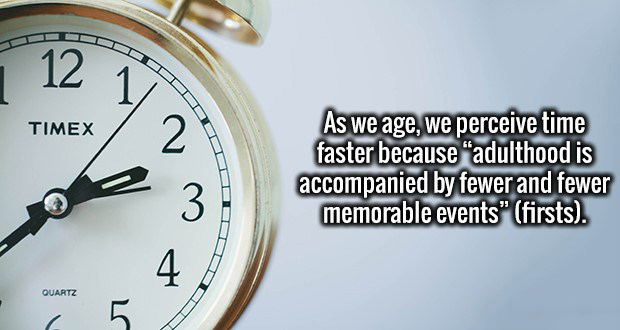 memes - clock - Timex As we age, we perceive time faster because "adulthood is accompanied by fewer and fewer memorable events" firsts. Quartz
