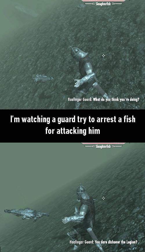 elder scrolls skyrim memes - Slaughterfish Hoafingar Guard What do you think you're doing? I'm watching a guard try to arrest a fish for attacking him Slaughterfish B Hoofingar Guard You dare dishonor the Legion?