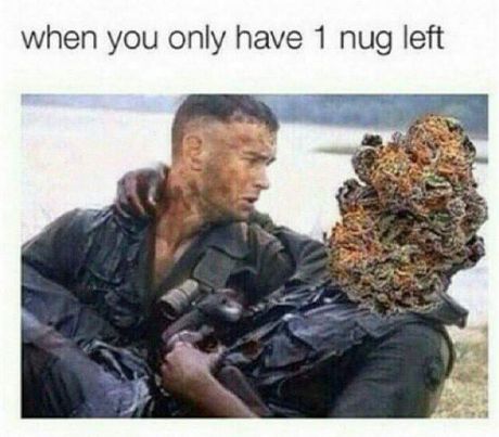 tweet - forrest gump and bubba - when you only have 1 nug left