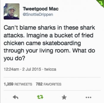 tweet - document - Tweetgood Mac Can't blame sharks in these shark attacks. Imagine a bucket of fried chicken came skateboarding through your living room. What do you do? 1224am . twicca 1,359 782 Favorites