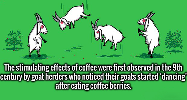 20 Unusual Facts That Will Enrich Your Brain
