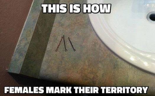 floor - This Is How Females Mark Their Territory