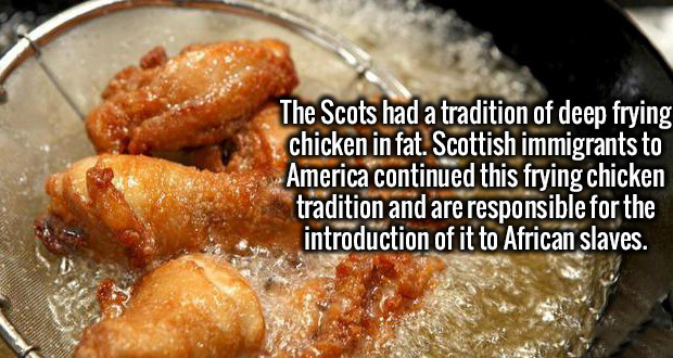 17 Precious Facts That Will Fill You With Knowledge