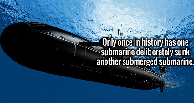 17 Precious Facts That Will Fill You With Knowledge