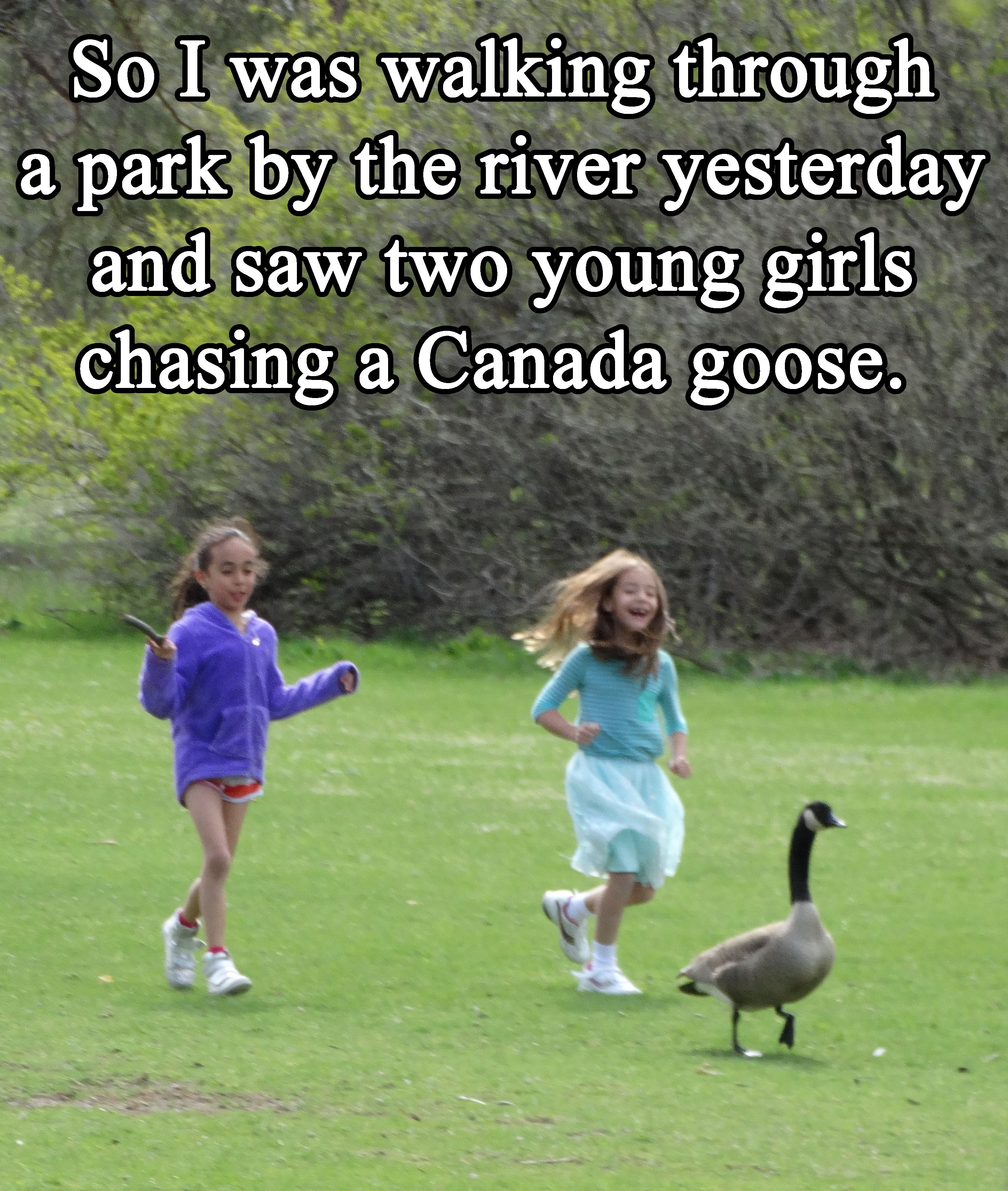 Man Sees Girls Chasing A Goose And Tells Their Mother