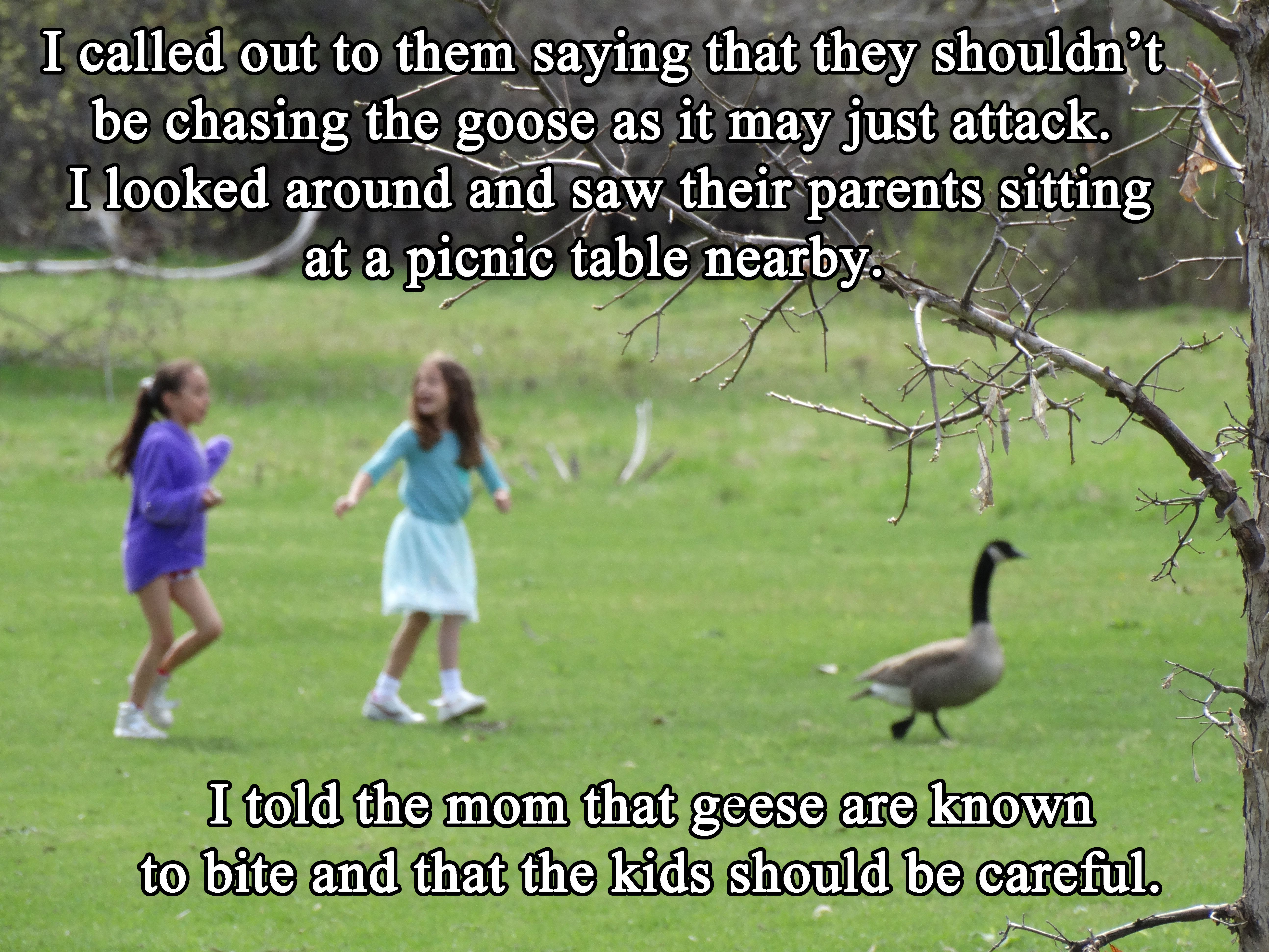 Man Sees Girls Chasing A Goose And Tells Their Mother