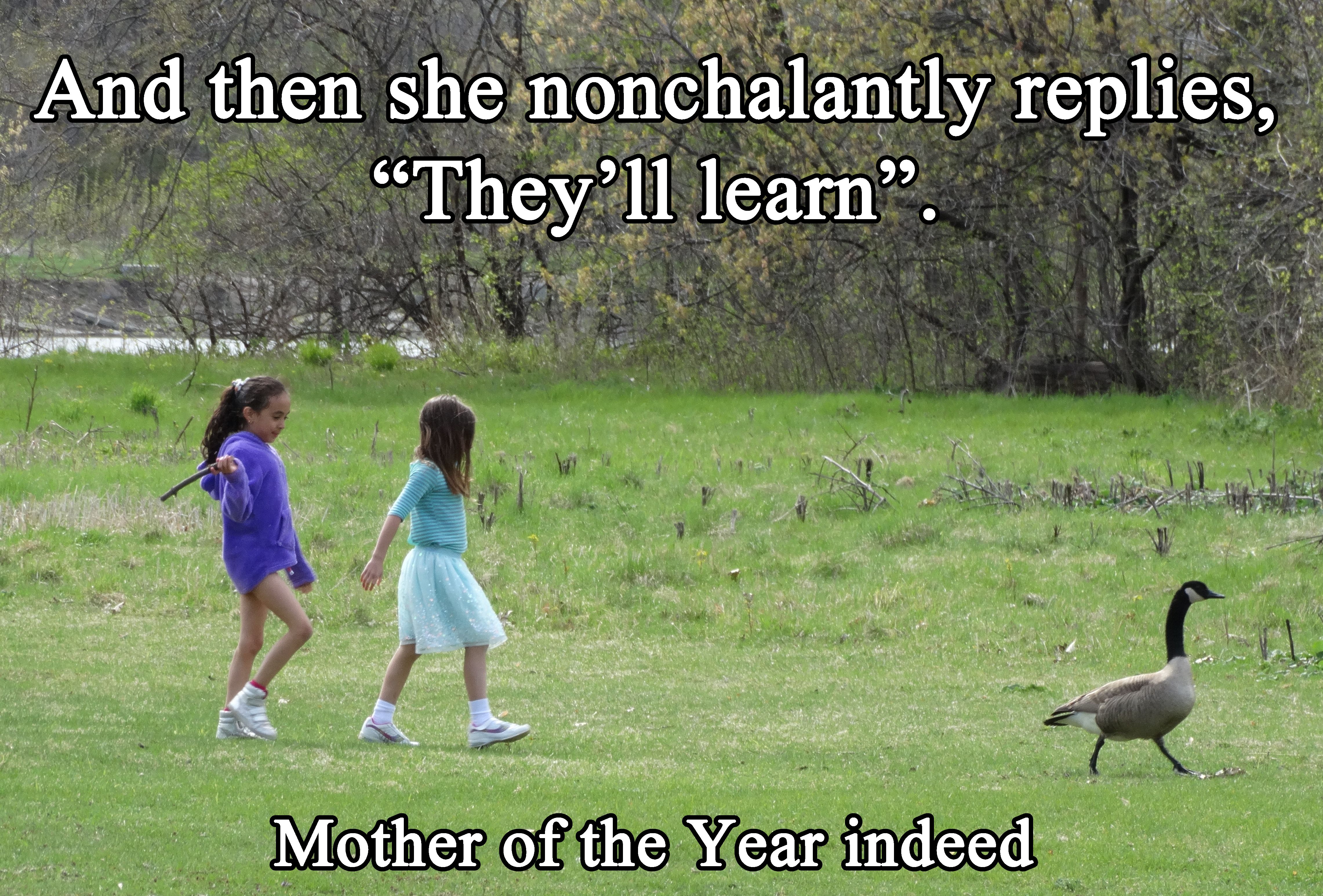 Man Sees Girls Chasing A Goose And Tells Their Mother