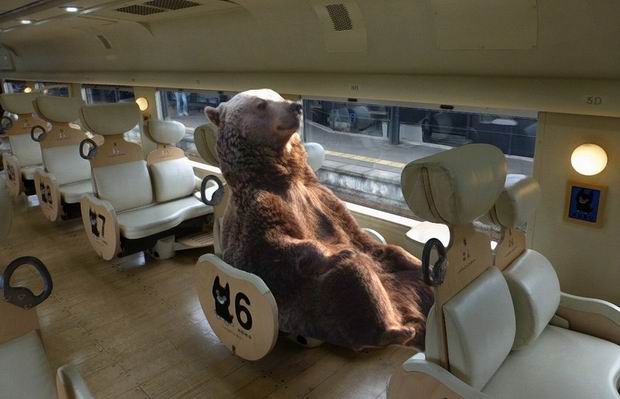 The Newest Victim Of Photoshop- Sitting Bear