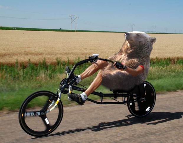 recumbent bike - ED3