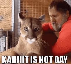 photo caption - Kahjiit Is Not Gay