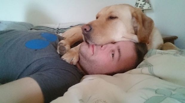 Proof Dogs Don't Understand What Personal Space Means