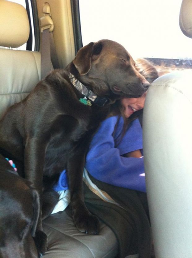 Proof Dogs Don't Understand What Personal Space Means