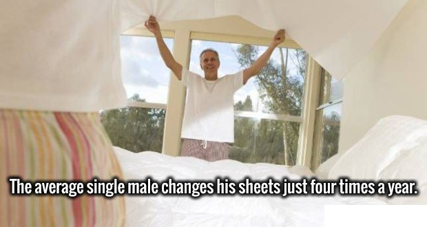 19 Shiny New Facts To Brighten Your Day