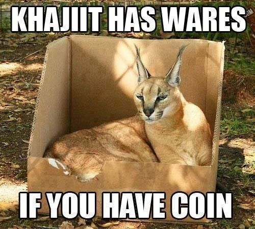 Only The Best Khajiit Memes For A Lazy Saturday