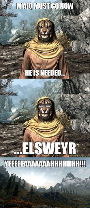 Only The Best Khajiit Memes For A Lazy Saturday