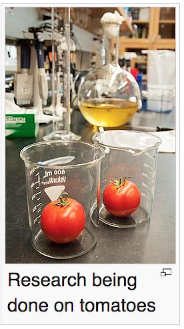 Food and Drug Administration - Jm 006 ce Research being done on tomatoes