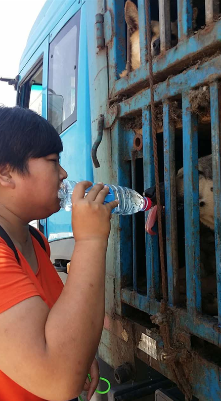 The festival takes place in Yulin, China June 21. And to have a clearer view on what's going on, the Police said "The exams showed most of the dogs were sick." and so would be the people eating them.