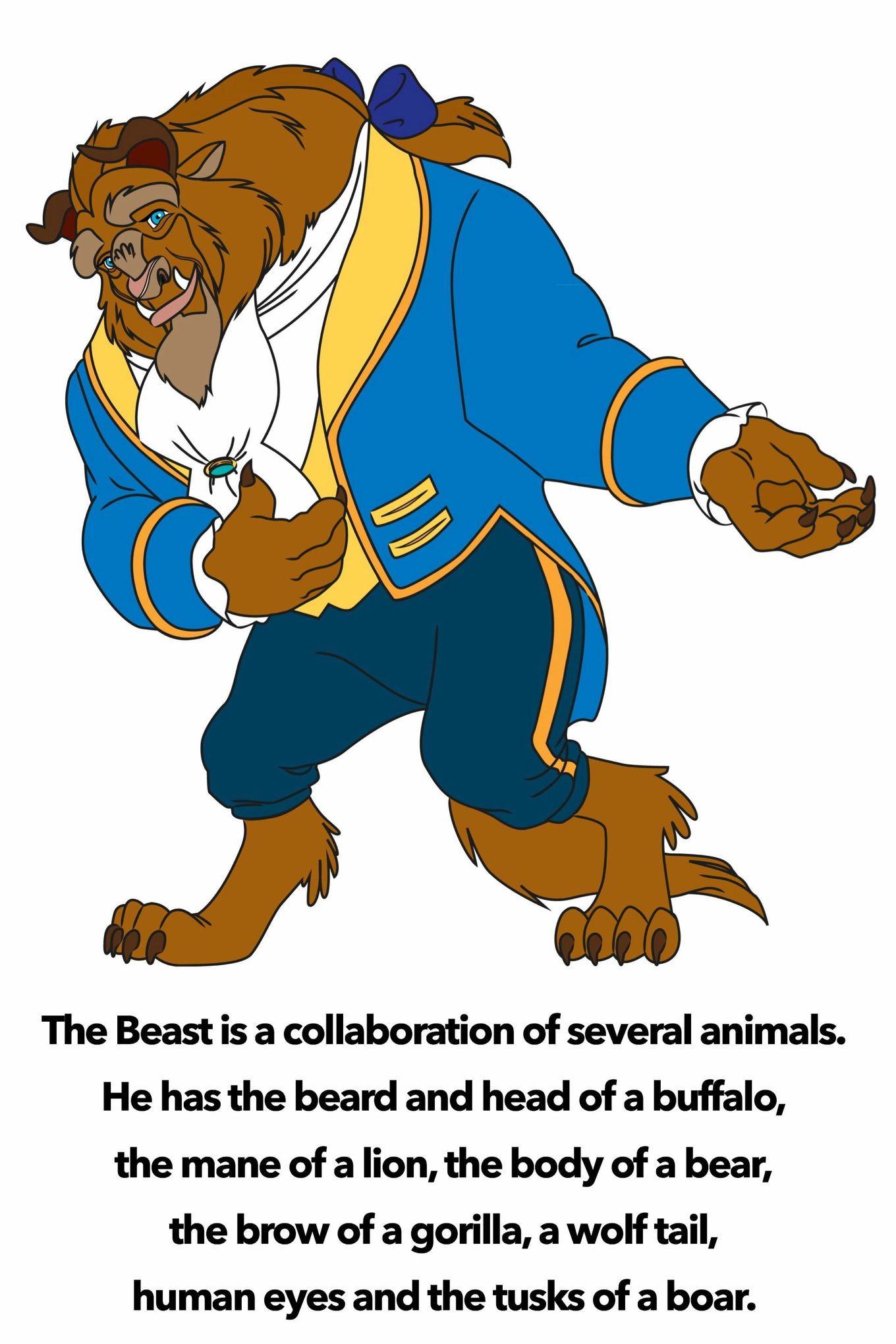 beast from beauty and the beast - The Beast is a collaboration of several animals. He has the beard and head of a buffalo, the mane of a lion, the body of a bear, the brow of a gorilla, a wolf tail, human eyes and the tusks of a boar.