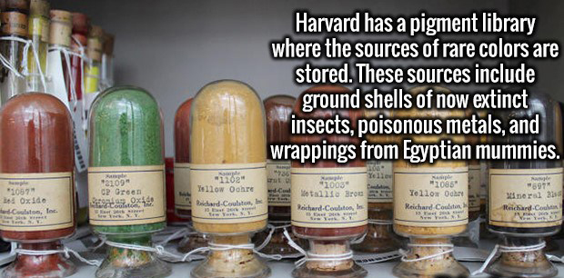 20 New Facts That Will Fill You With Knowledge