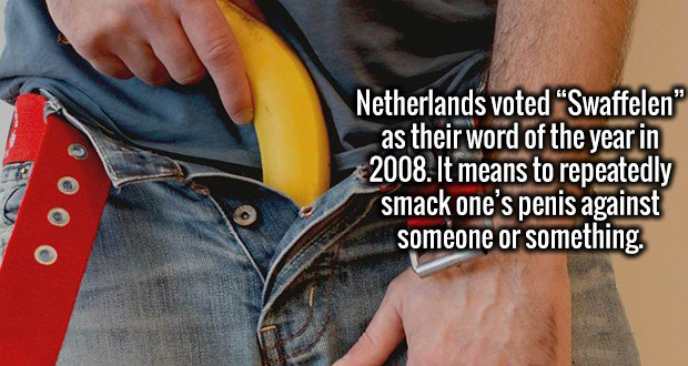 20 New Facts That Will Fill You With Knowledge