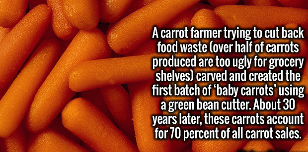 20 New Facts That Will Fill You With Knowledge