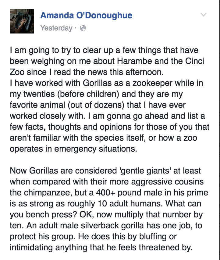 An Expert's Take On The Kid Snatching Gorilla