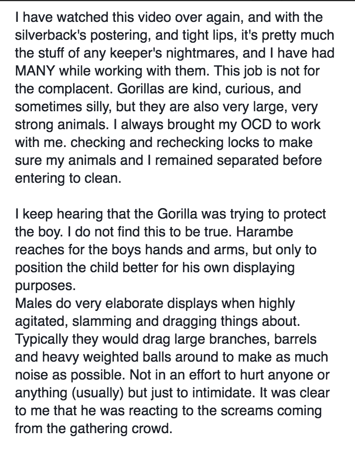 An Expert's Take On The Kid Snatching Gorilla