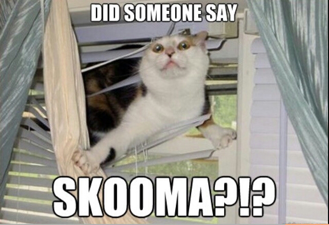did someone say food meme - Did Someone Say Skoomapip