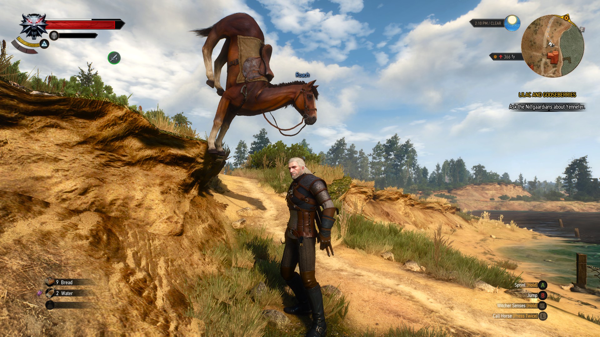 witcher 3 roach funny