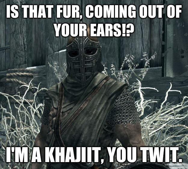 skyrim guard - Is That Fur, Coming Out Of Your Ears!? I'M A Khajiit, You Twit.