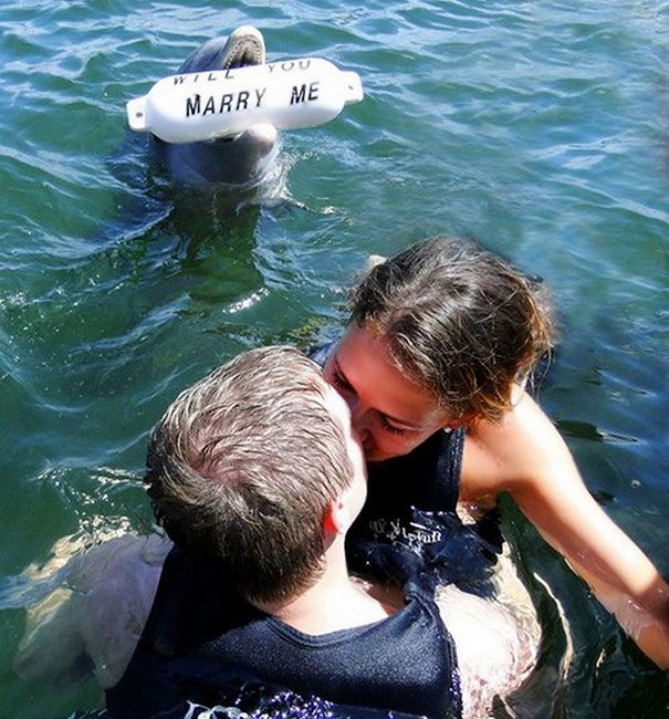 A dolphin just proposed to her and she kisses that guy? How rude. Just kidding!