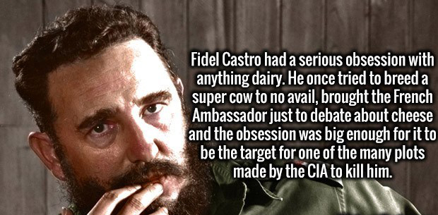 beard - Fidel Castro had a serious obsession with anything dairy. He once tried to breed a super cow to no avail, brought the French Ambassador just to debate about cheese and the obsession was big enough for it to be the target for one of the many plots 