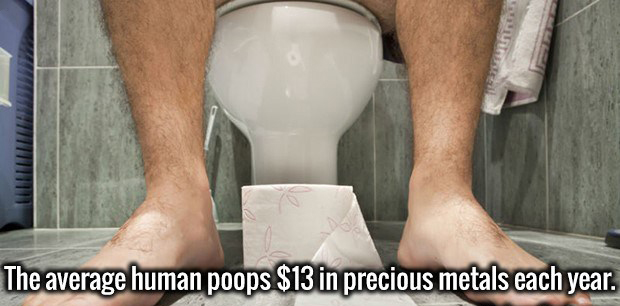 guys wipe back to front - The average human poops $13 in precious metals each year.