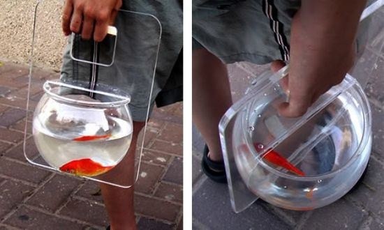 Now you can take your fish for a walk.