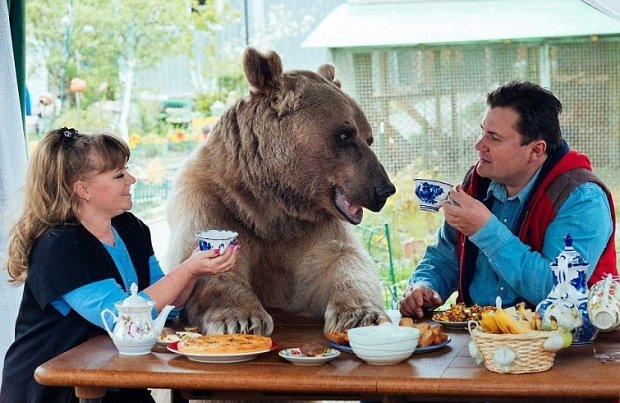wtf russia russian with bear