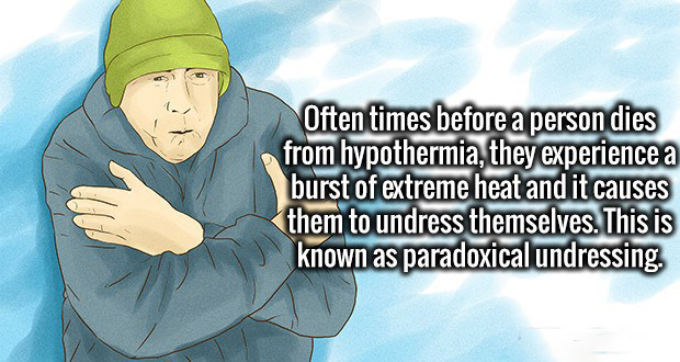 cartoon - Often times before a person dies from hypothermia, they experience a burst of extreme heat and it causes them to undress themselves. This is known as paradoxical undressing