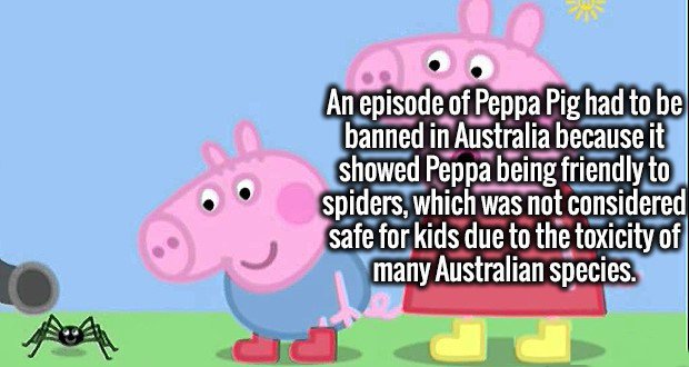 funnel web spider funny - An episode of Peppa Pig had to be banned in Australia because it showed Peppa being friendly to spiders, which was not considered safe for kids due to the toxicity of many Australian species.