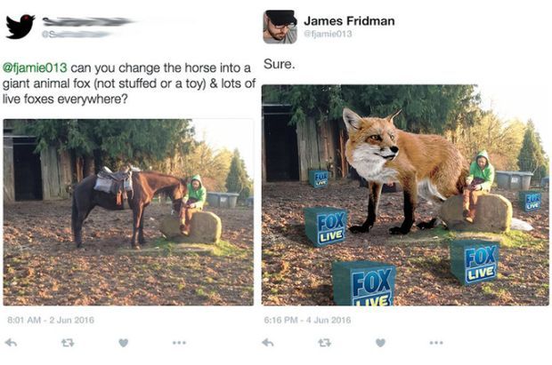 people asking for photoshop help - James Fridman famic013 can you change the horse into a Sure. giant animal fox not stuffed or a toy & lots of live foxes everywhere? Fox Live Fox Ve
