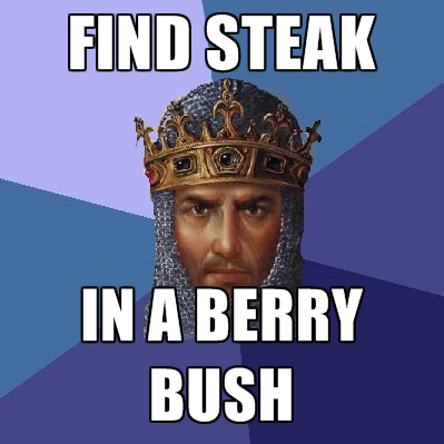 age of empires logic - Find Steak In A Berry Bush