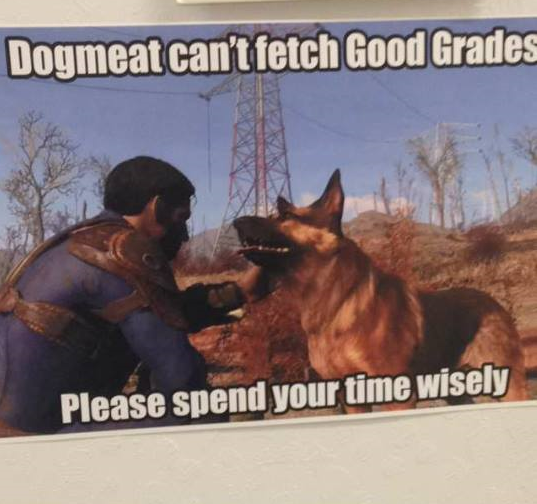 fallout 4 dog - Dogmeat can't fetch Good Grades Please spend your time wisely