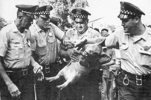 Presidential candidate Pigasus attacked by the police, 1968. He died in the Police Station under suspicious circumstances. The meal in the Station's Kitchen was pork the next day.